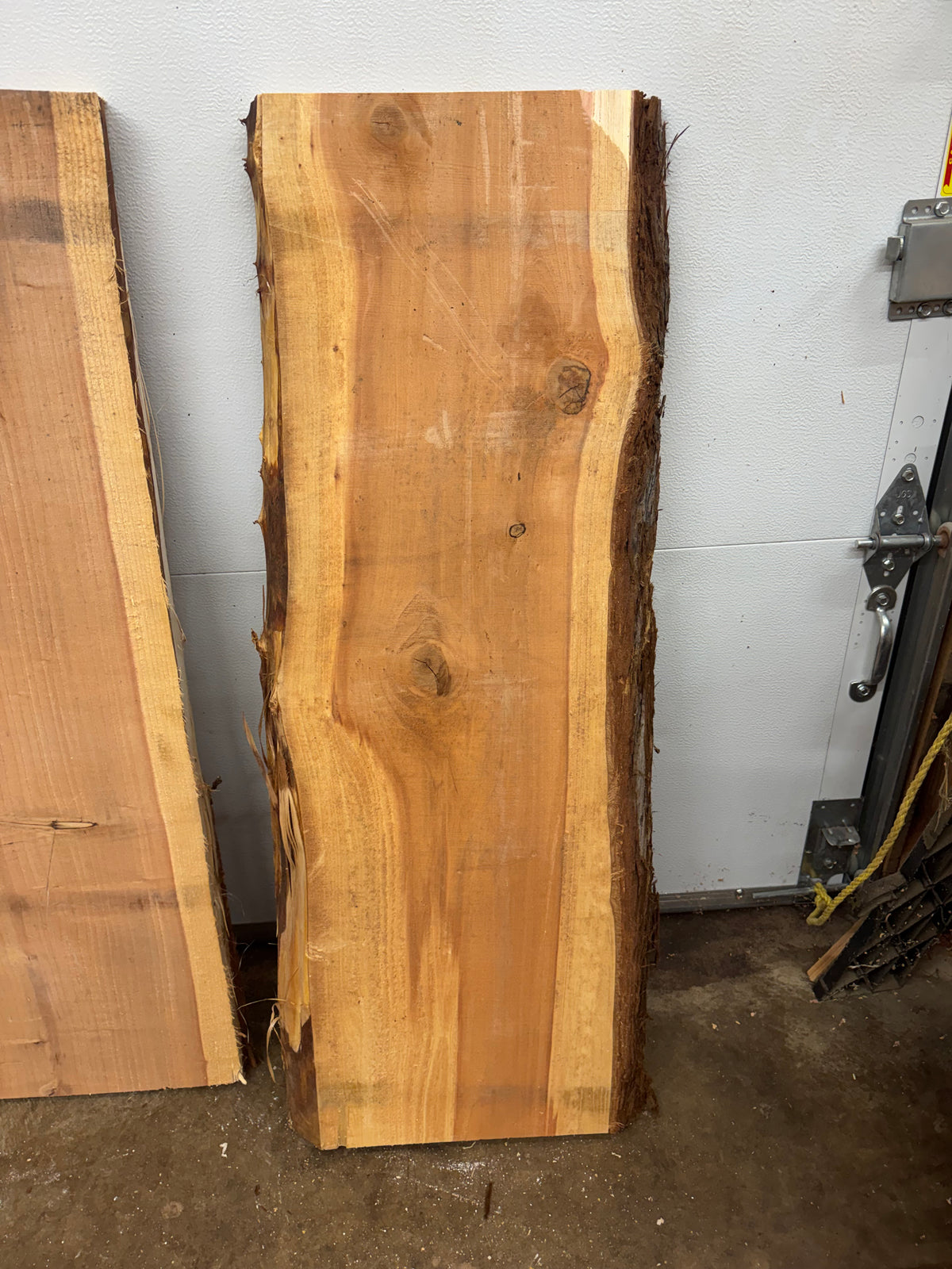 Giant Sequoia Slab Bundle – 3 Pieces – 45" Long