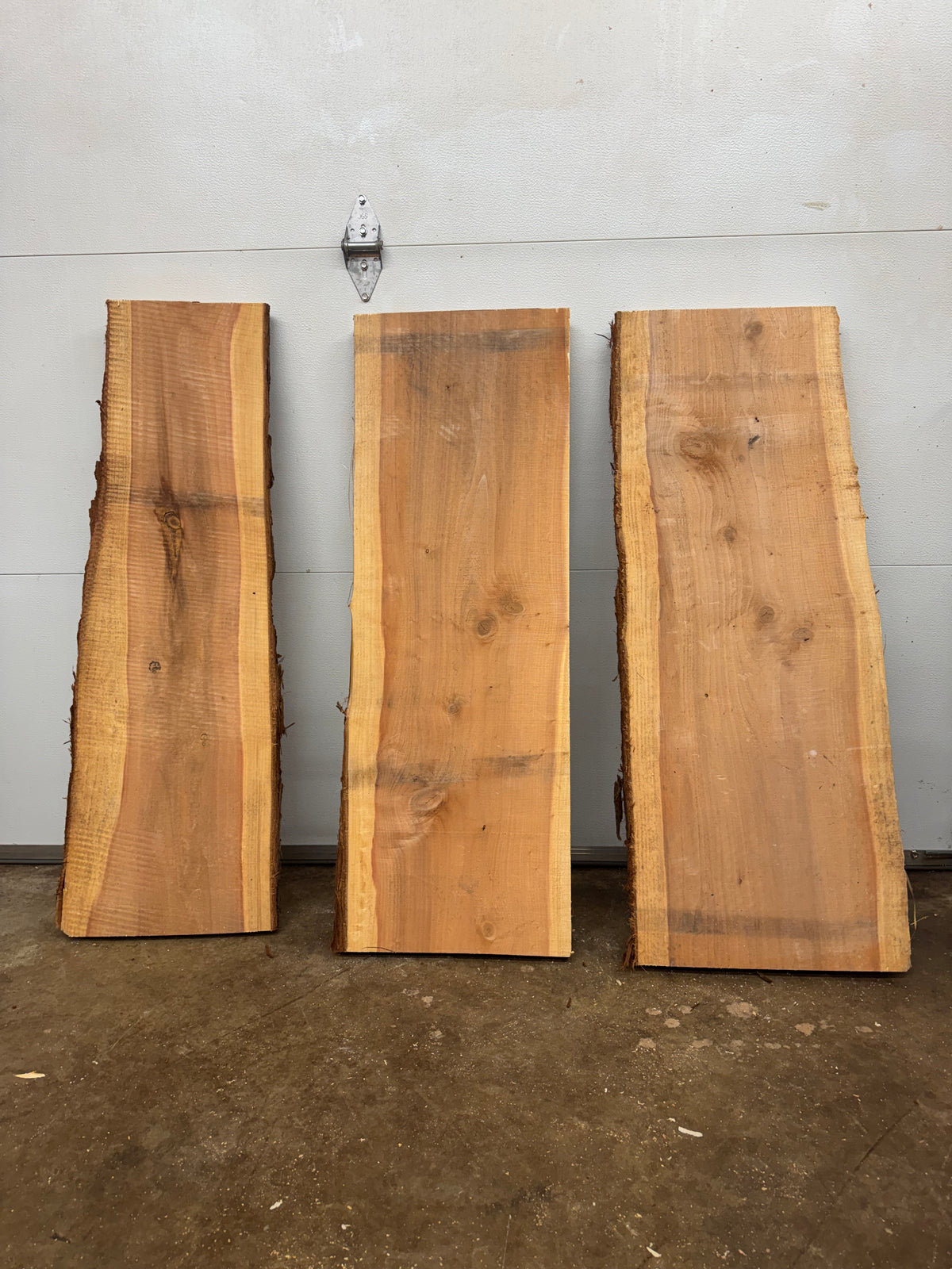 Giant Sequoia Slab Bundle – 3 Pieces – 45" Long