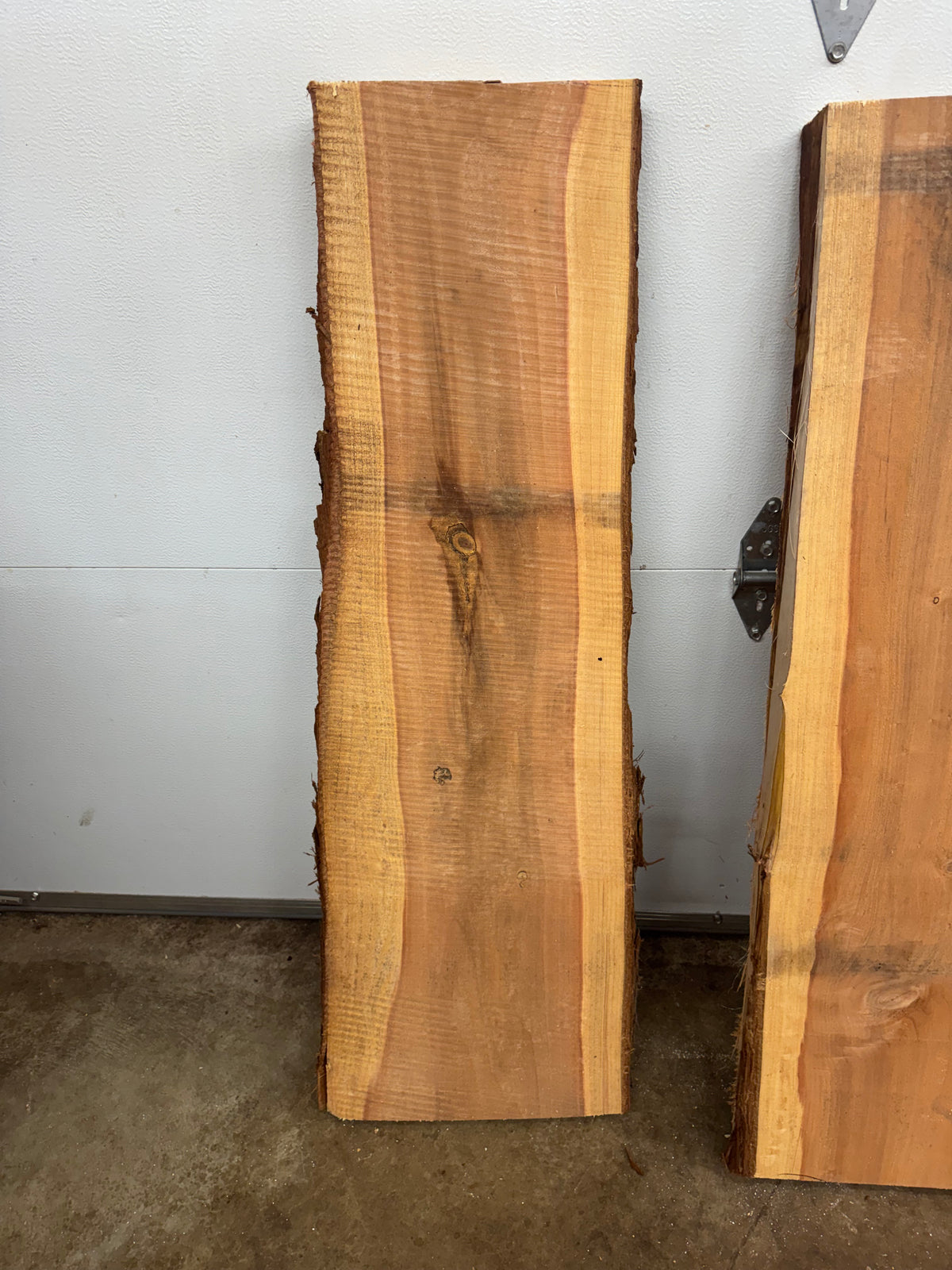 Giant Sequoia Slab Bundle – 3 Pieces – 45" Long
