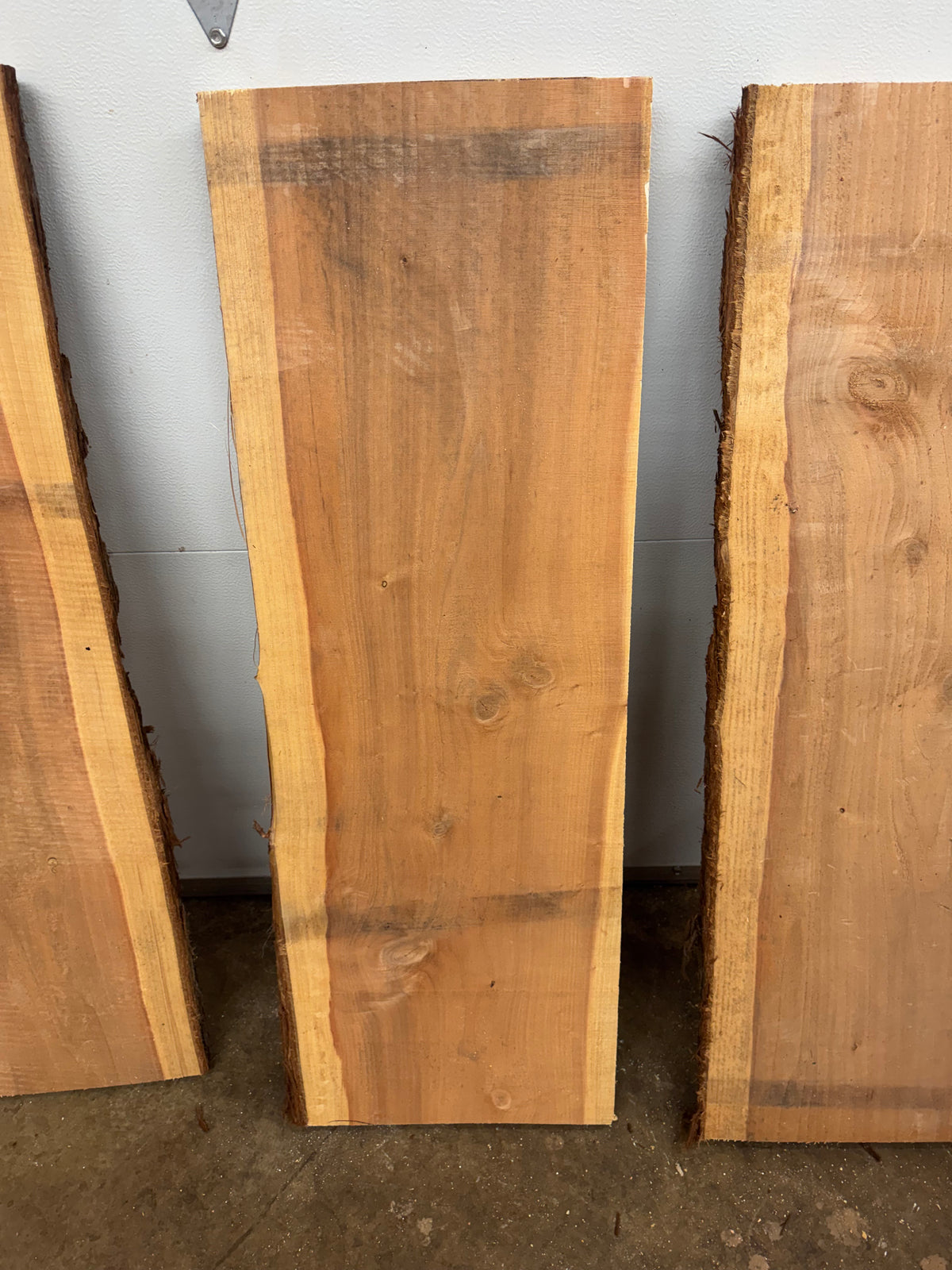 Giant Sequoia Slab Bundle – 3 Pieces – 45" Long