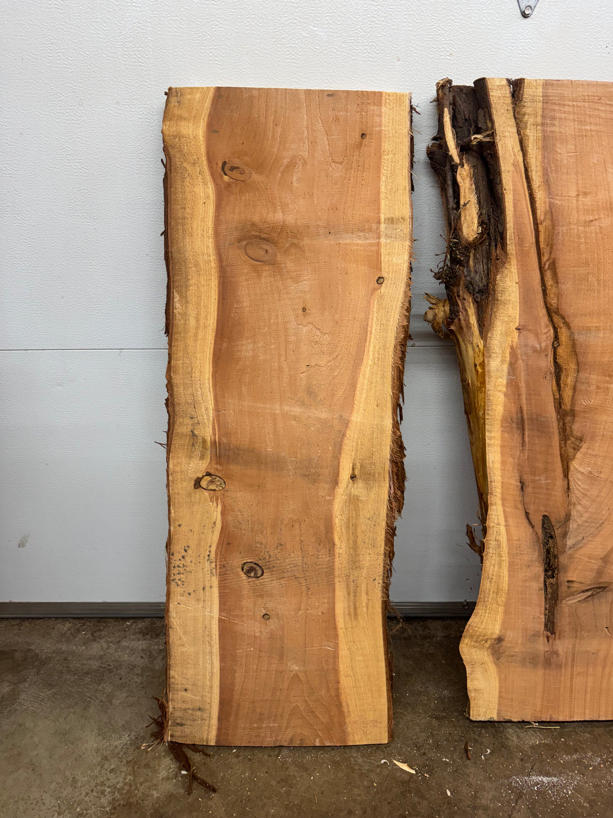 Giant Sequoia Slab Bundle – 3 Character Pieces Long