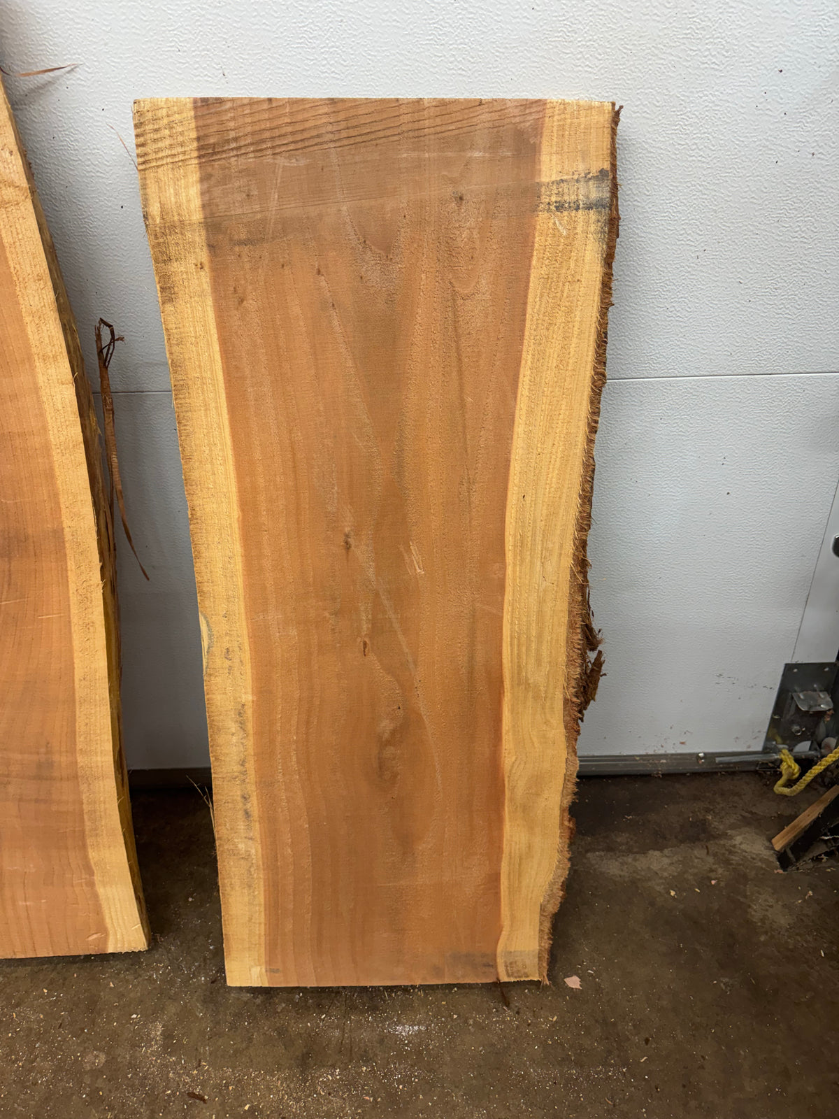 Giant Sequoia Slab Bundle – 3 Character Pieces Long