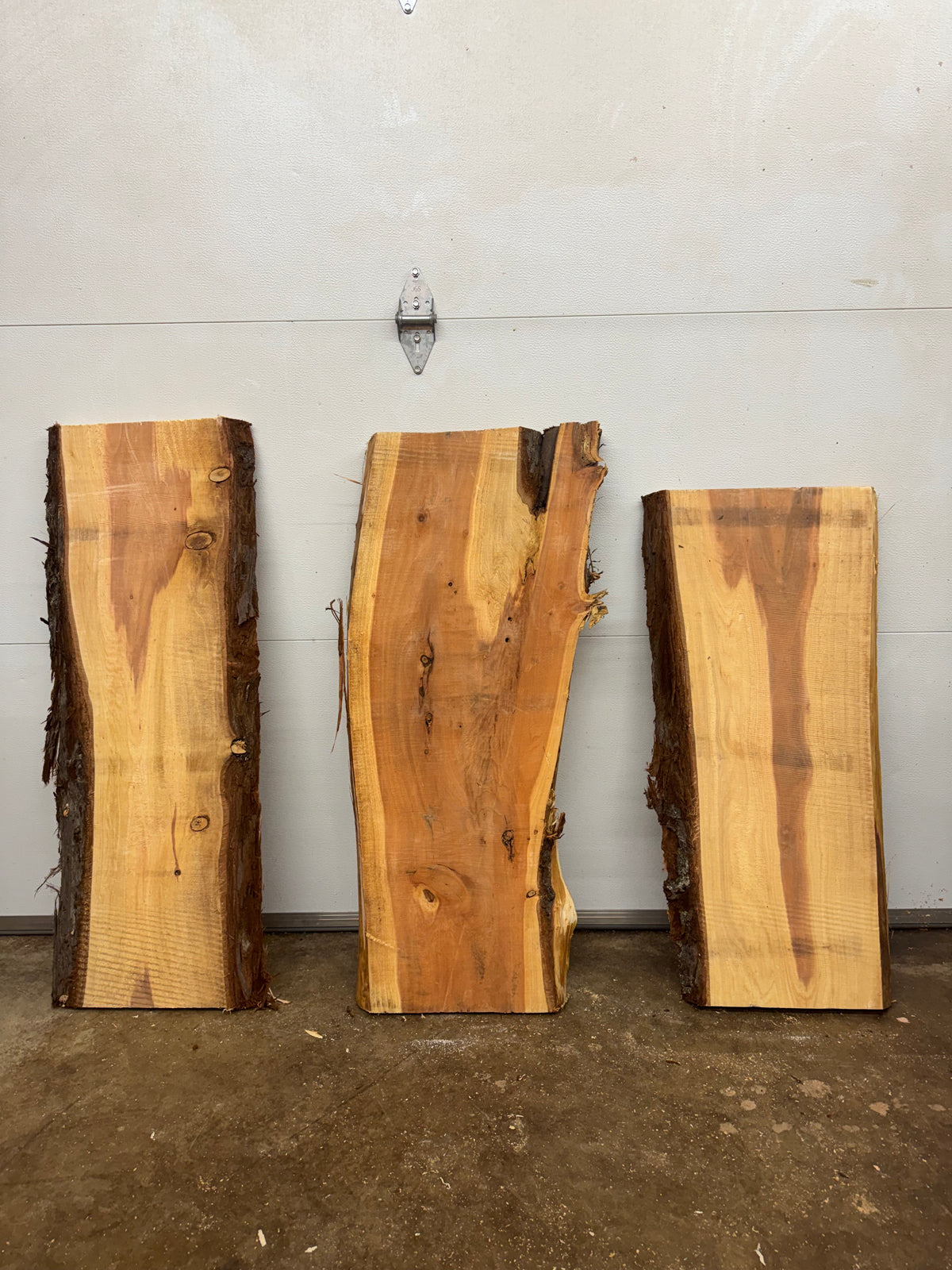 Giant Sequoia Slab Bundle – 3 Character Pieces Long
