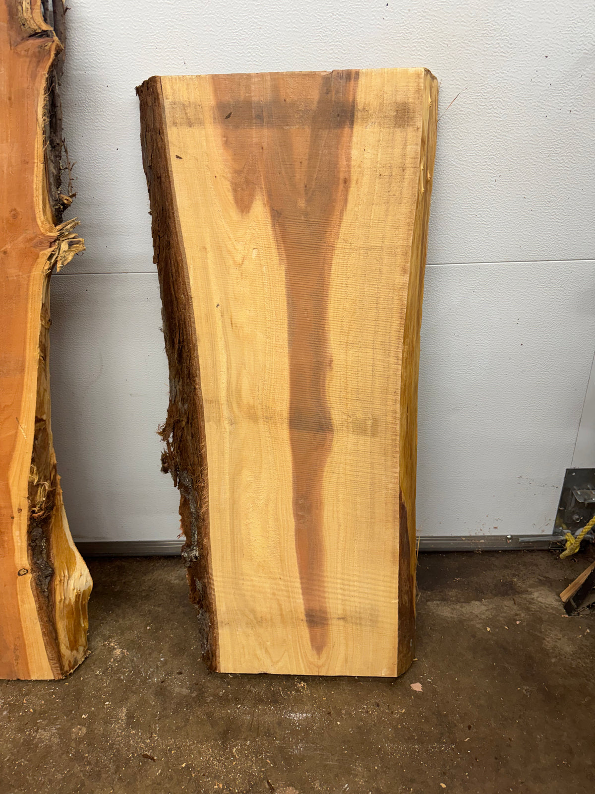 Giant Sequoia Slab Bundle – 3 Character Pieces Long