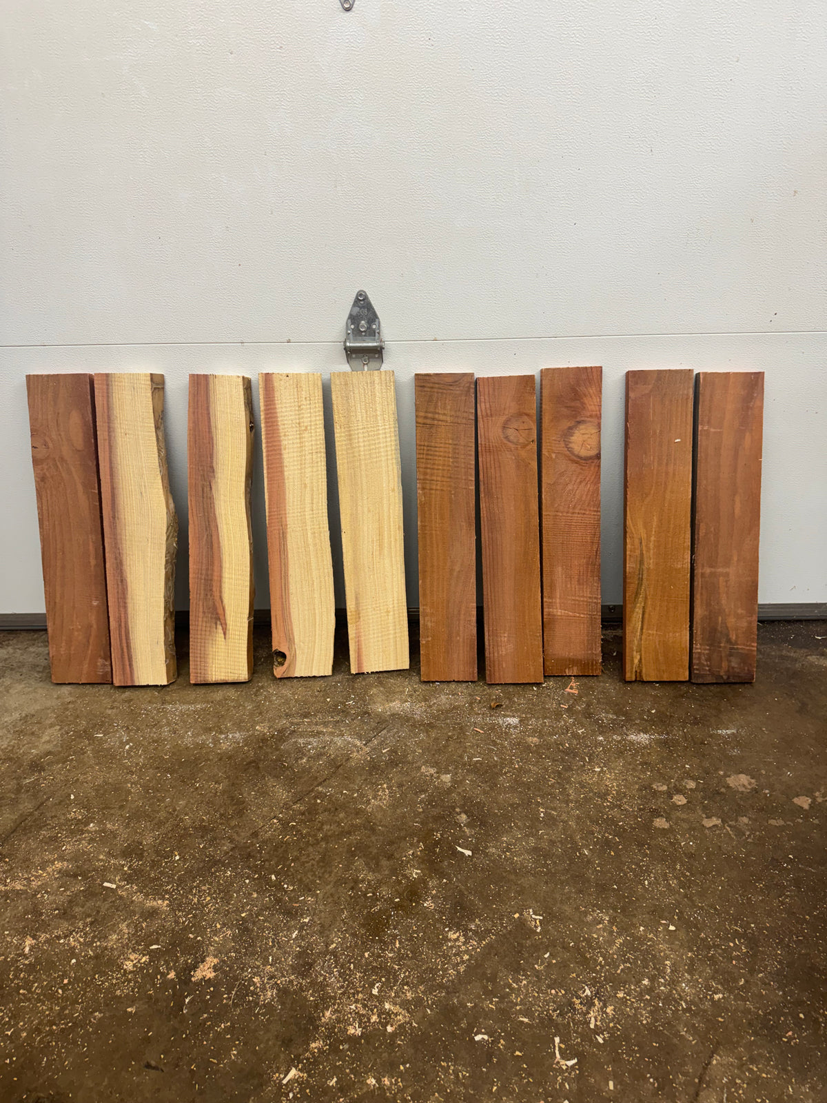 Giant Sequoia Redwood Project Board Bundle – 10 Pieces