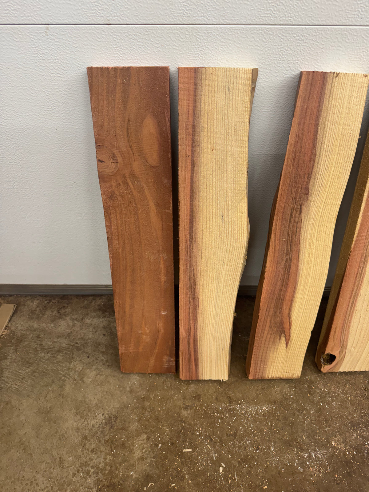 Giant Sequoia Redwood Project Board Bundle – 10 Pieces