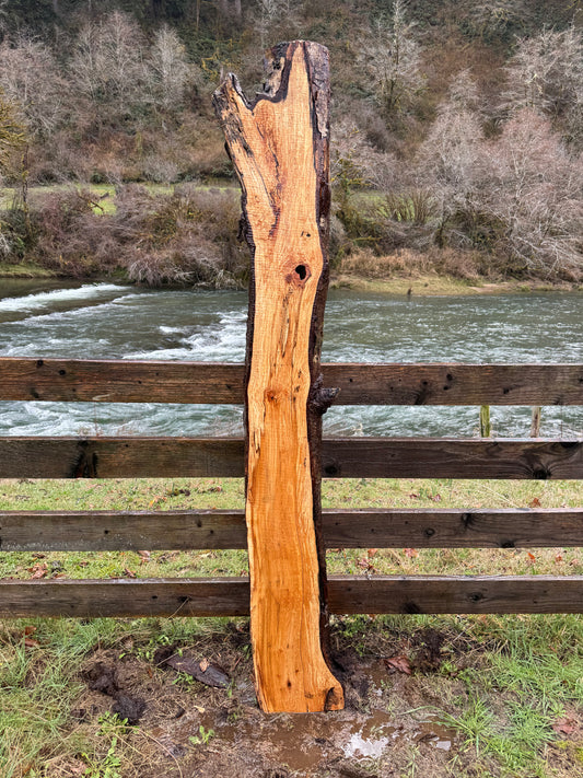 Live Edge Maple Slab -  80" x 10" x 3"