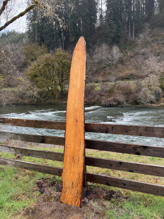 Live Edge Maple Slab -  98" x 13" x 3"
