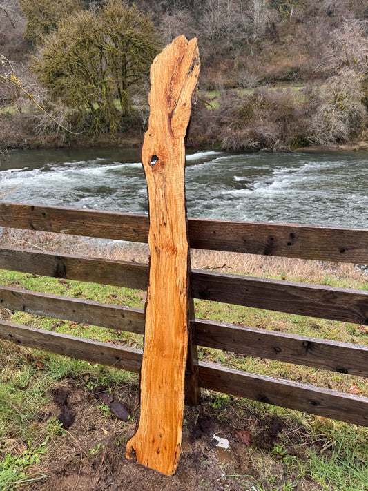 Live Edge Maple Slab -  74" x 11" x 2"
