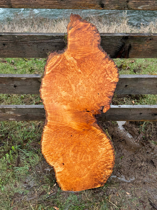 Large Figured Maple Burl Slab - 40" x 17" x 2"