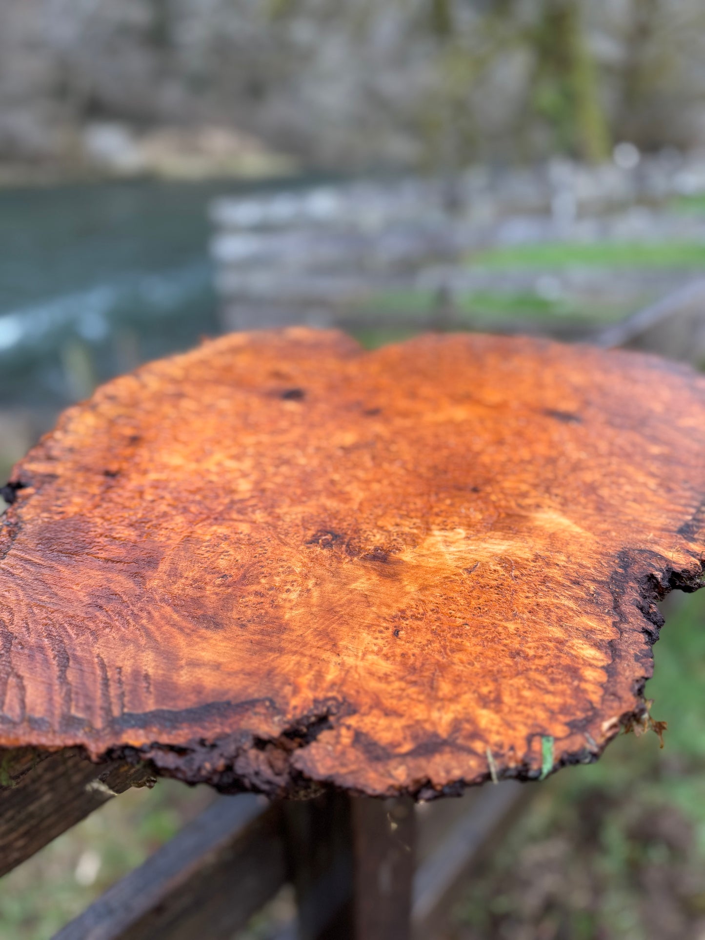 Figured Maple Burl Slab- 23" x 18" x 2"