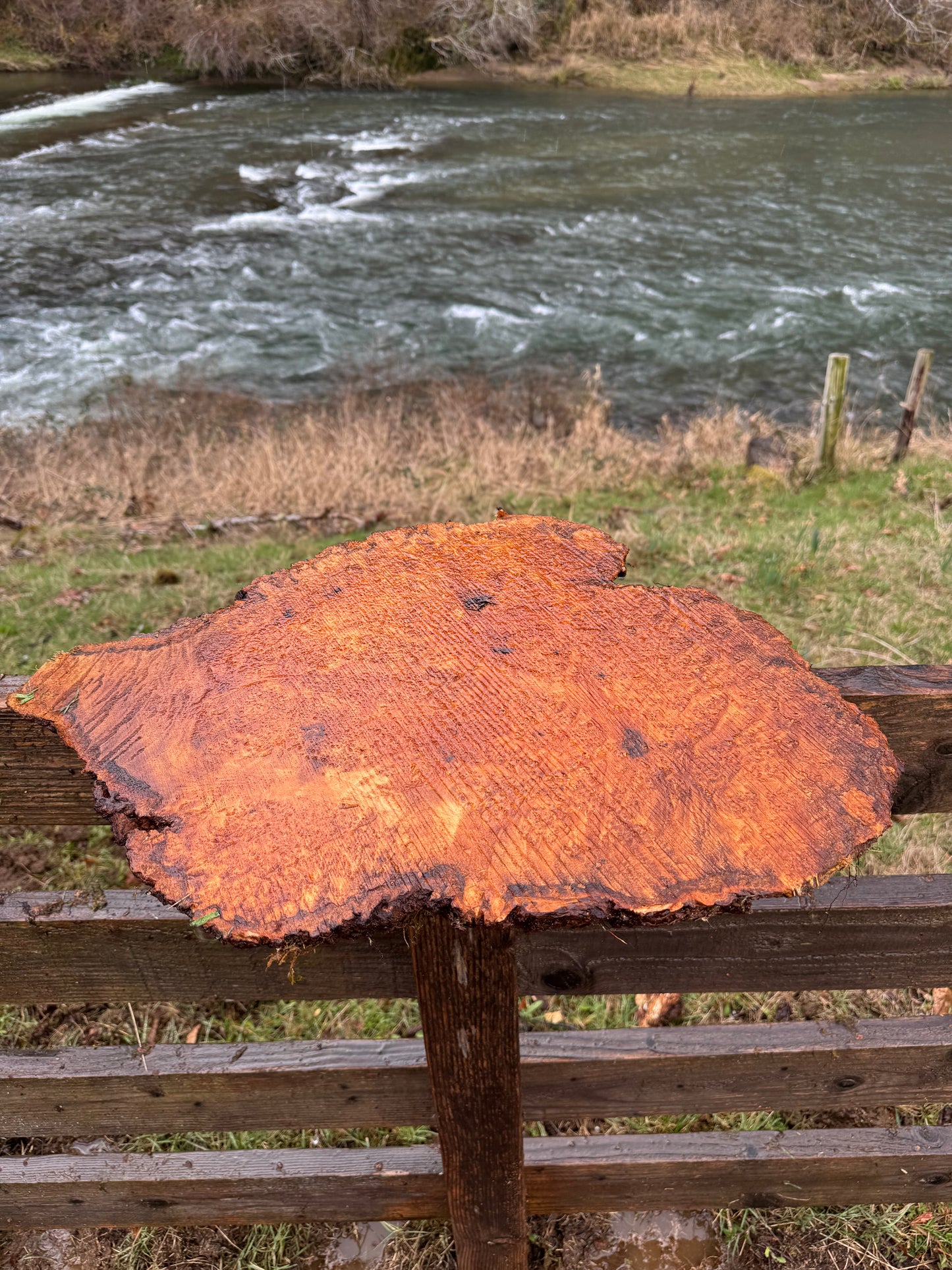 Figured Maple Burl Slab- 23" x 18" x 2"