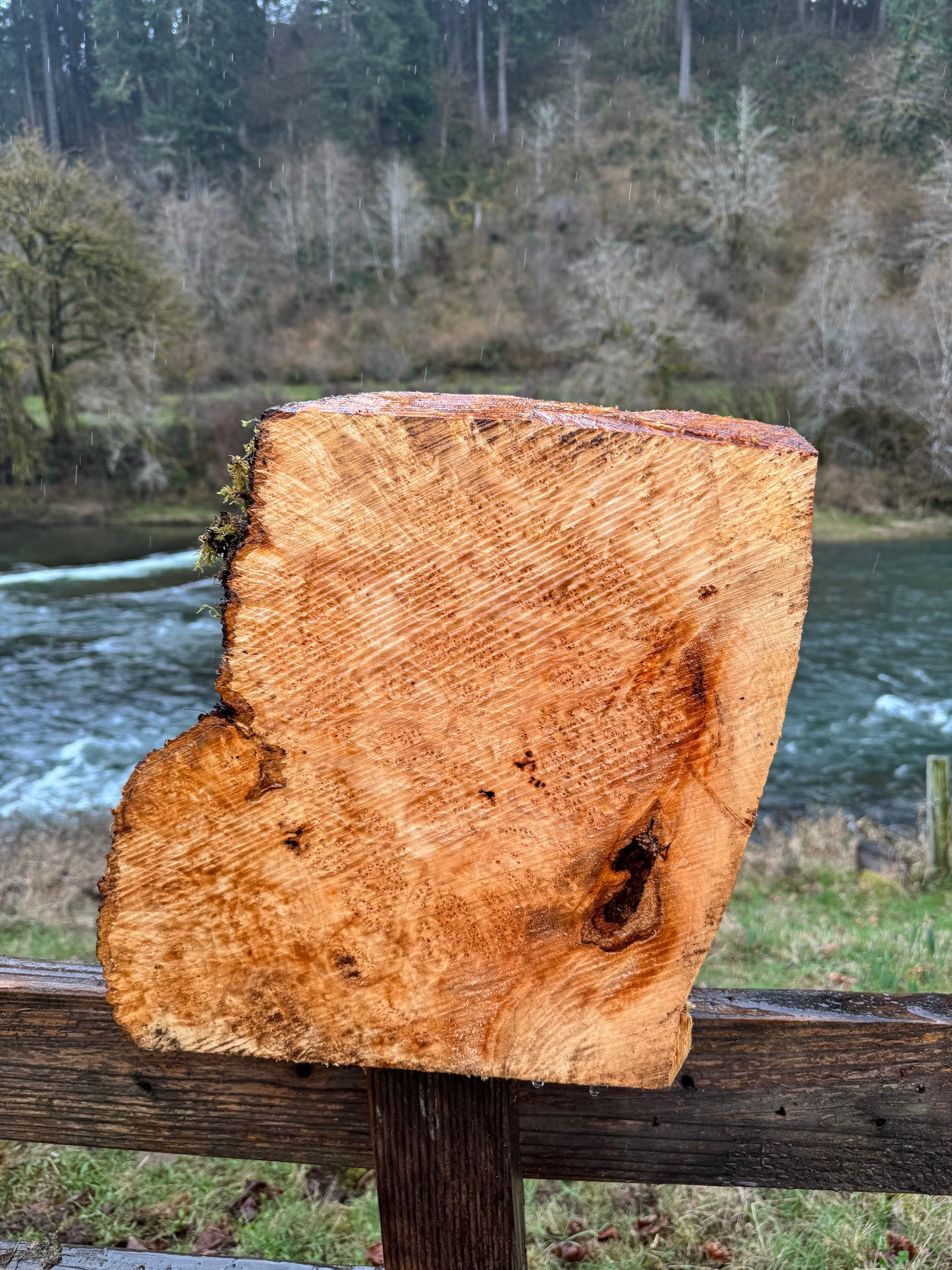 Figured Maple Burl Chunk- 16" x 15" x 3"