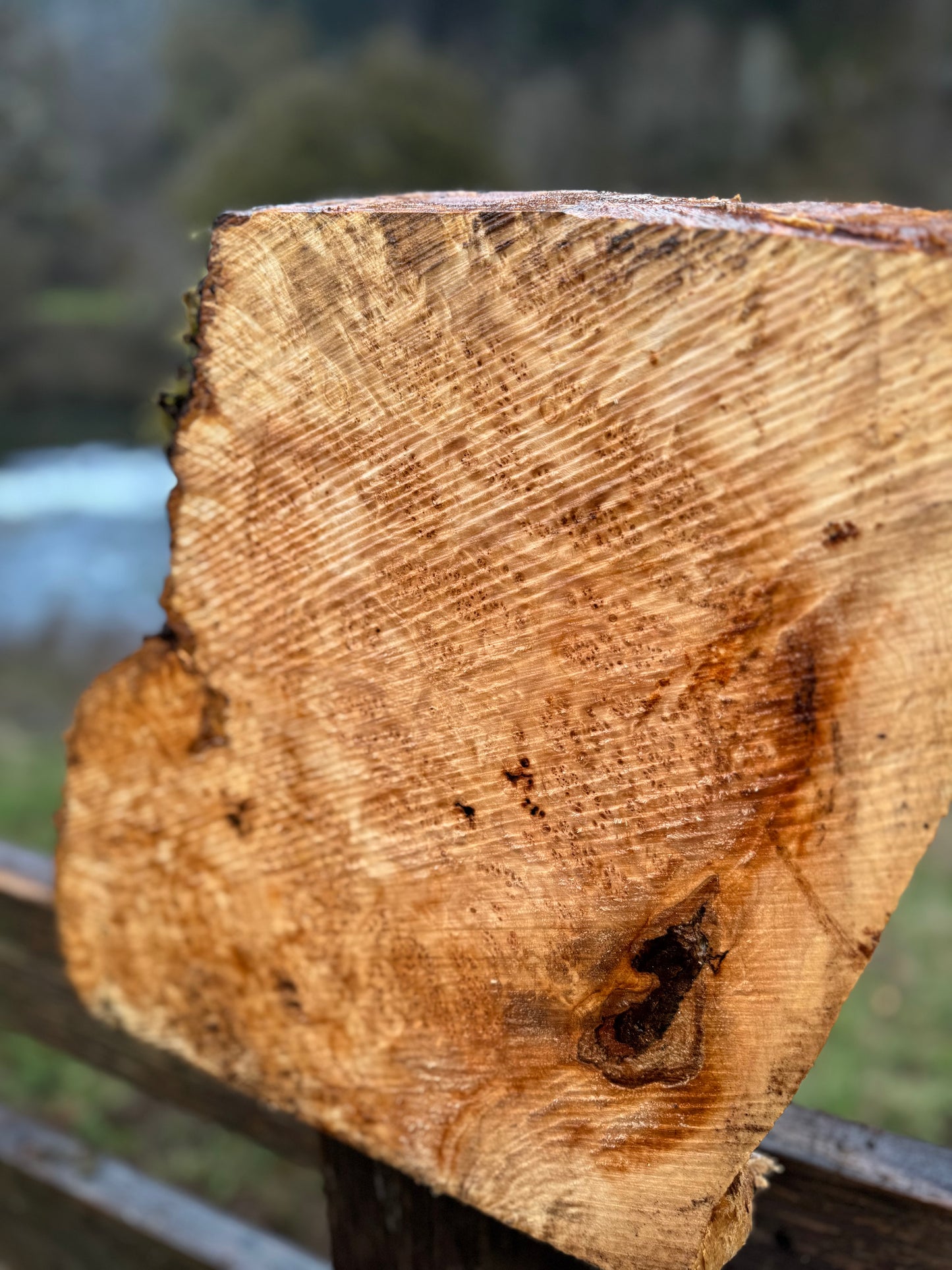Figured Maple Burl Chunk- 16" x 15" x 3"