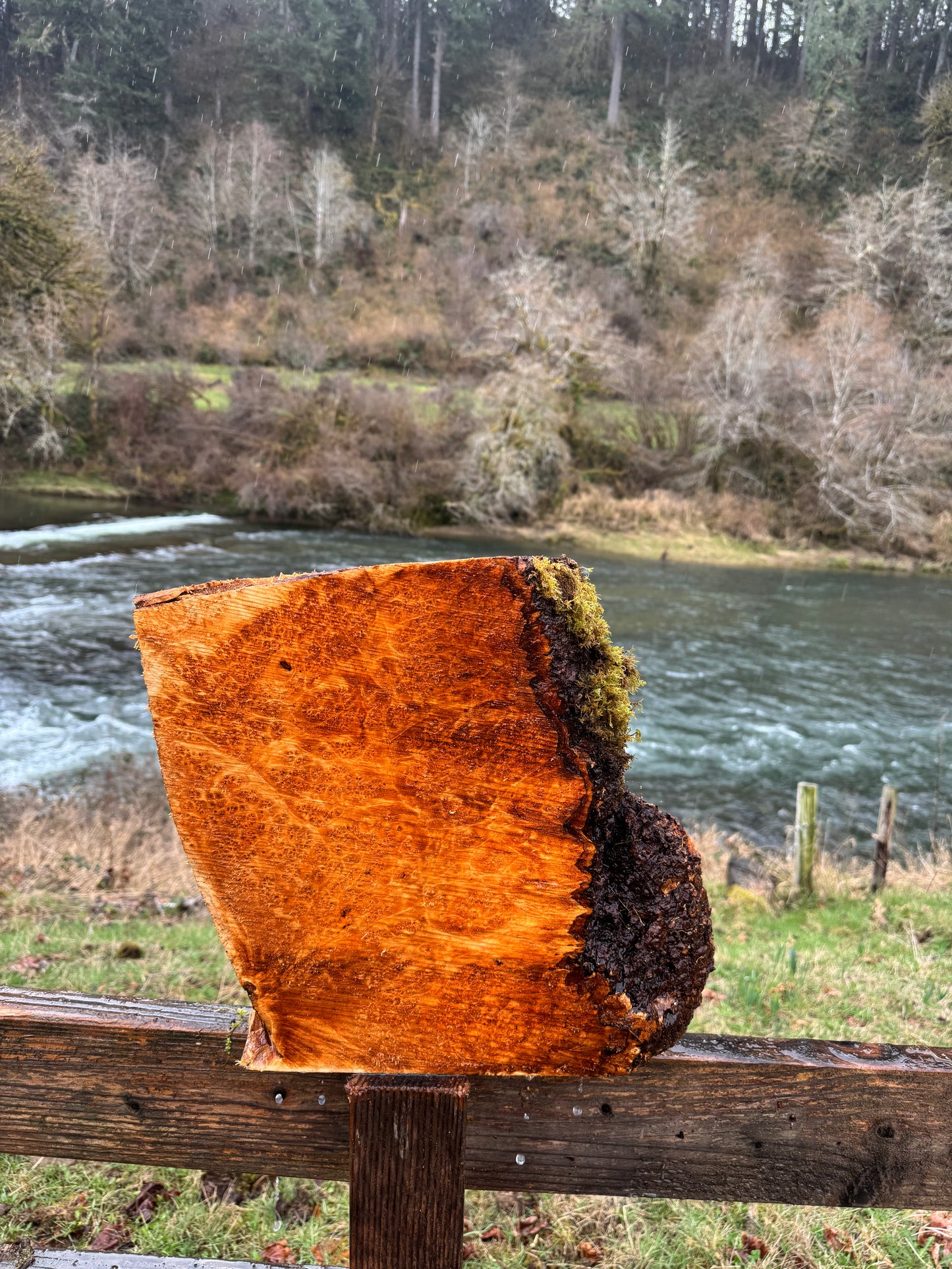 Figured Maple Burl Chunk- 16" x 15" x 3"