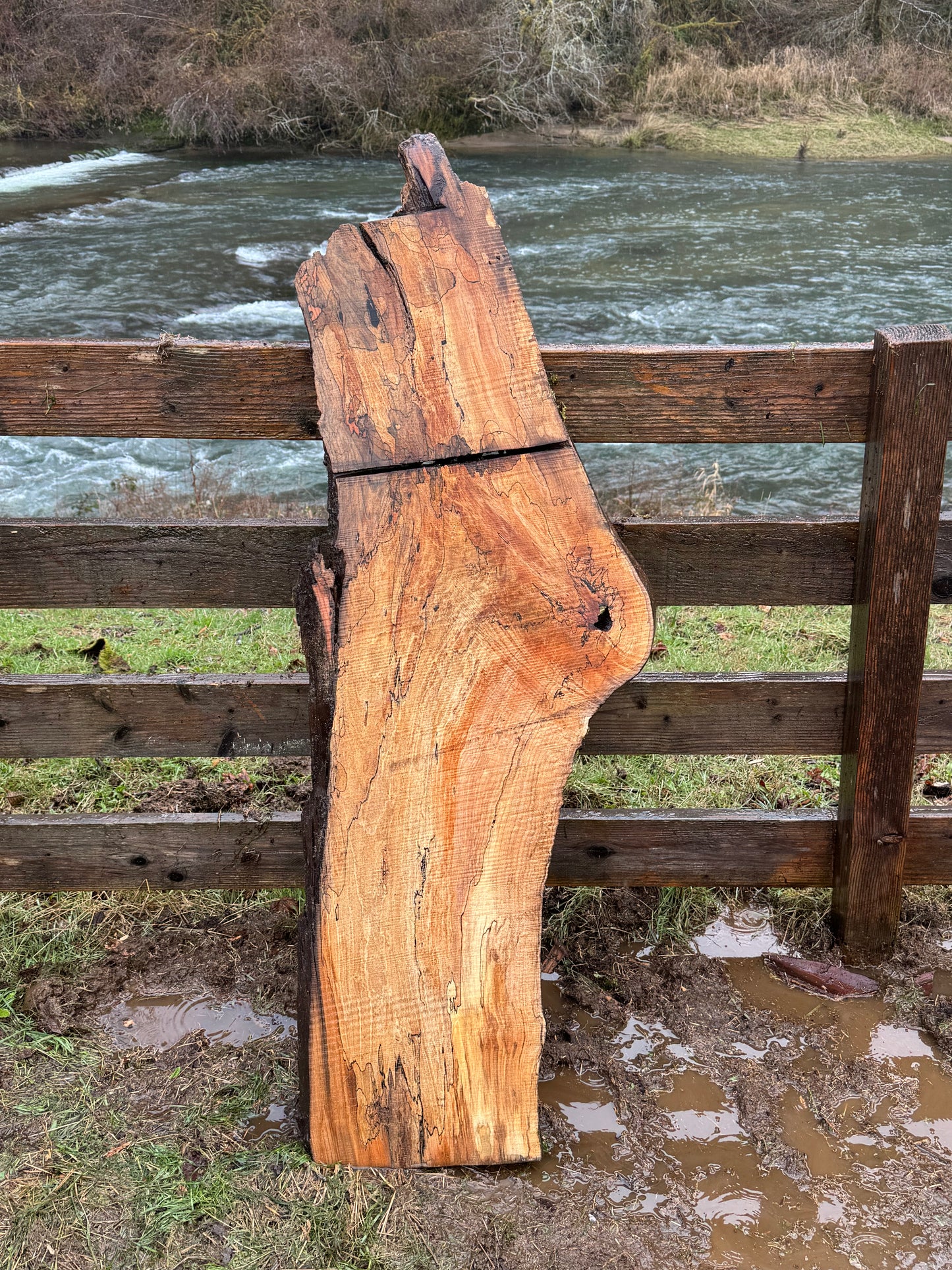 Live Edge Spalted Maple Slab – 58"x21"x2"