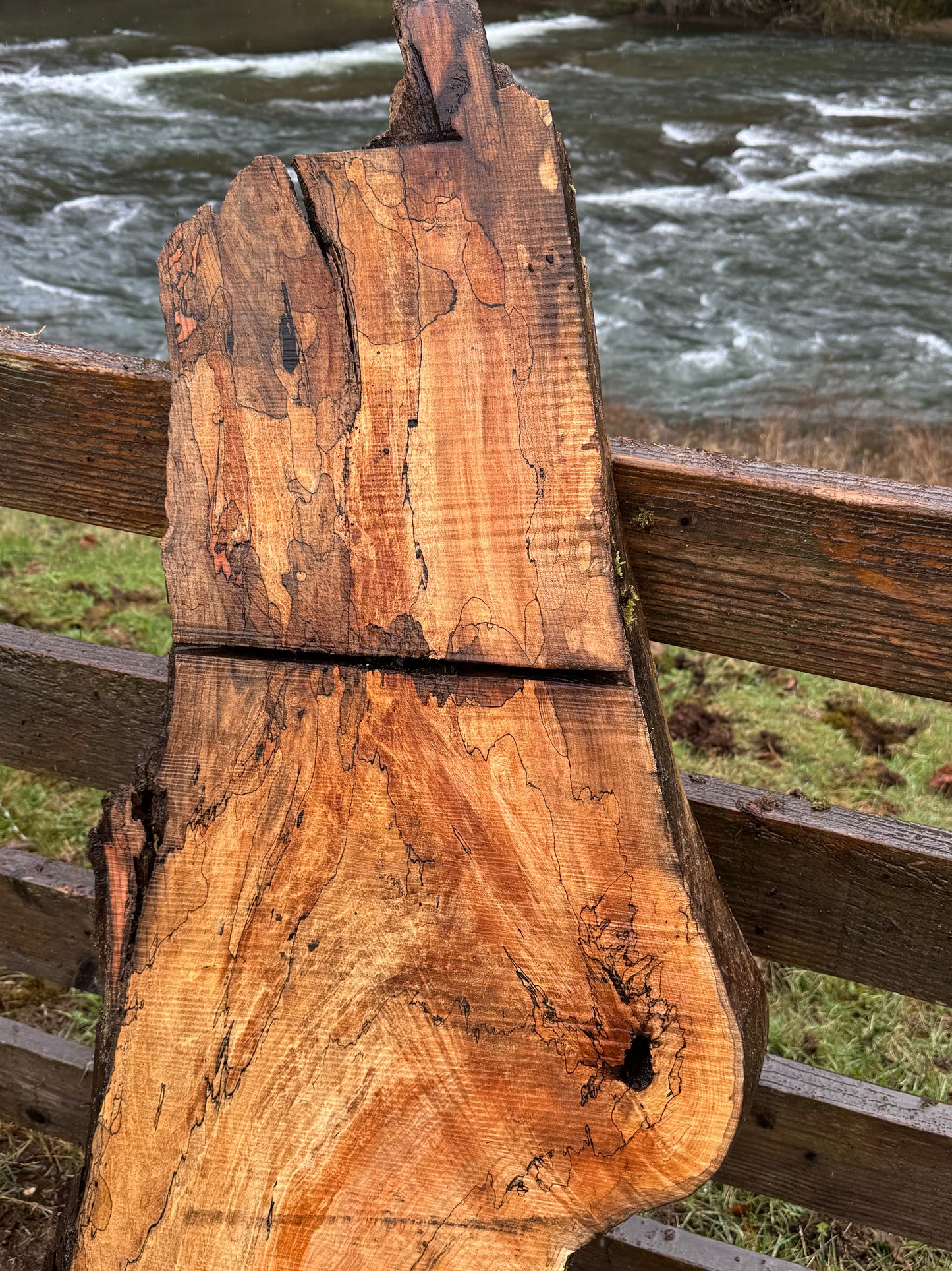 Live Edge Spalted Maple Slab – 58"x21"x2"