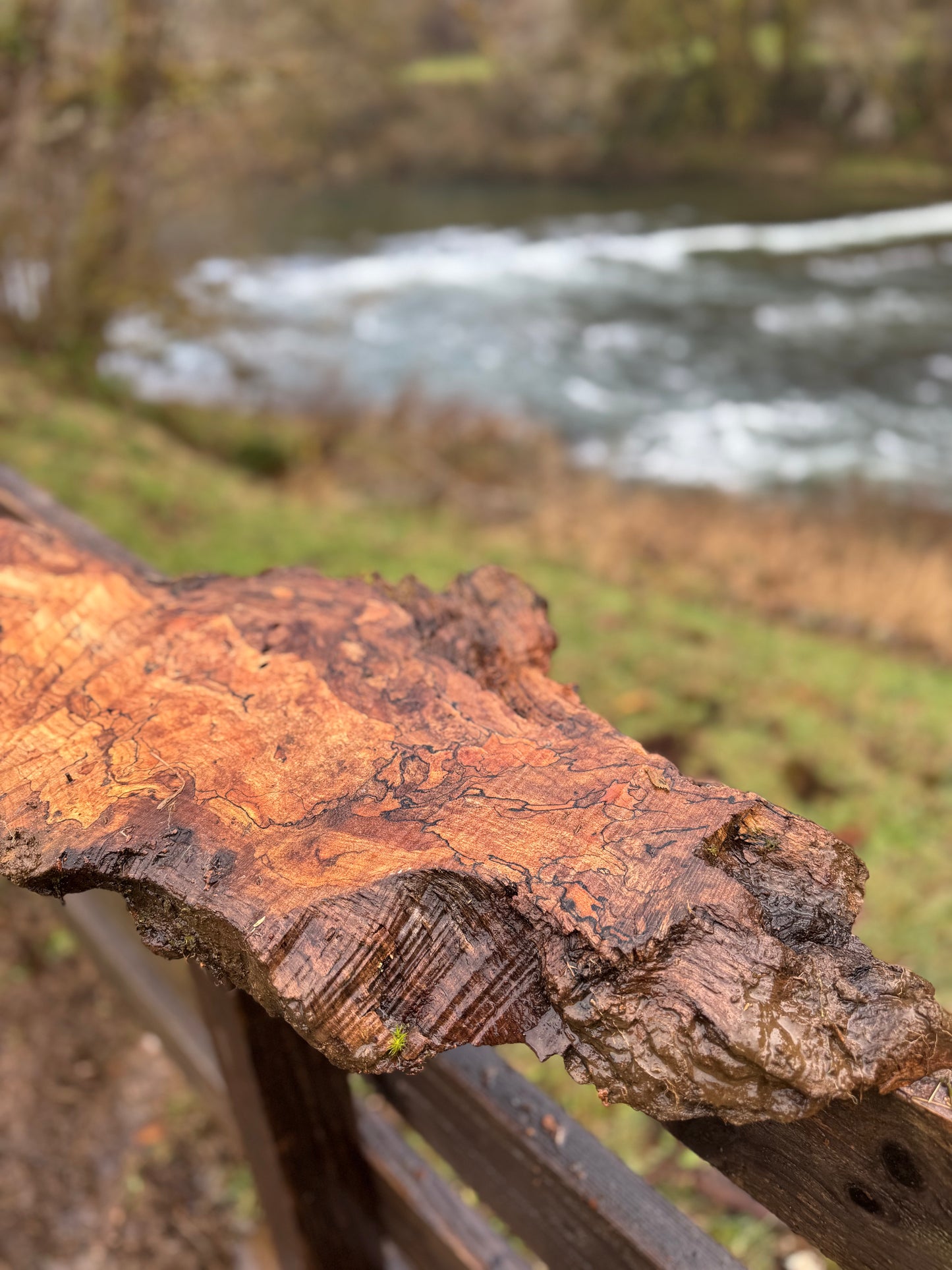 Dry Live Edge Spalted Maple Slab – 31"x12"x1"