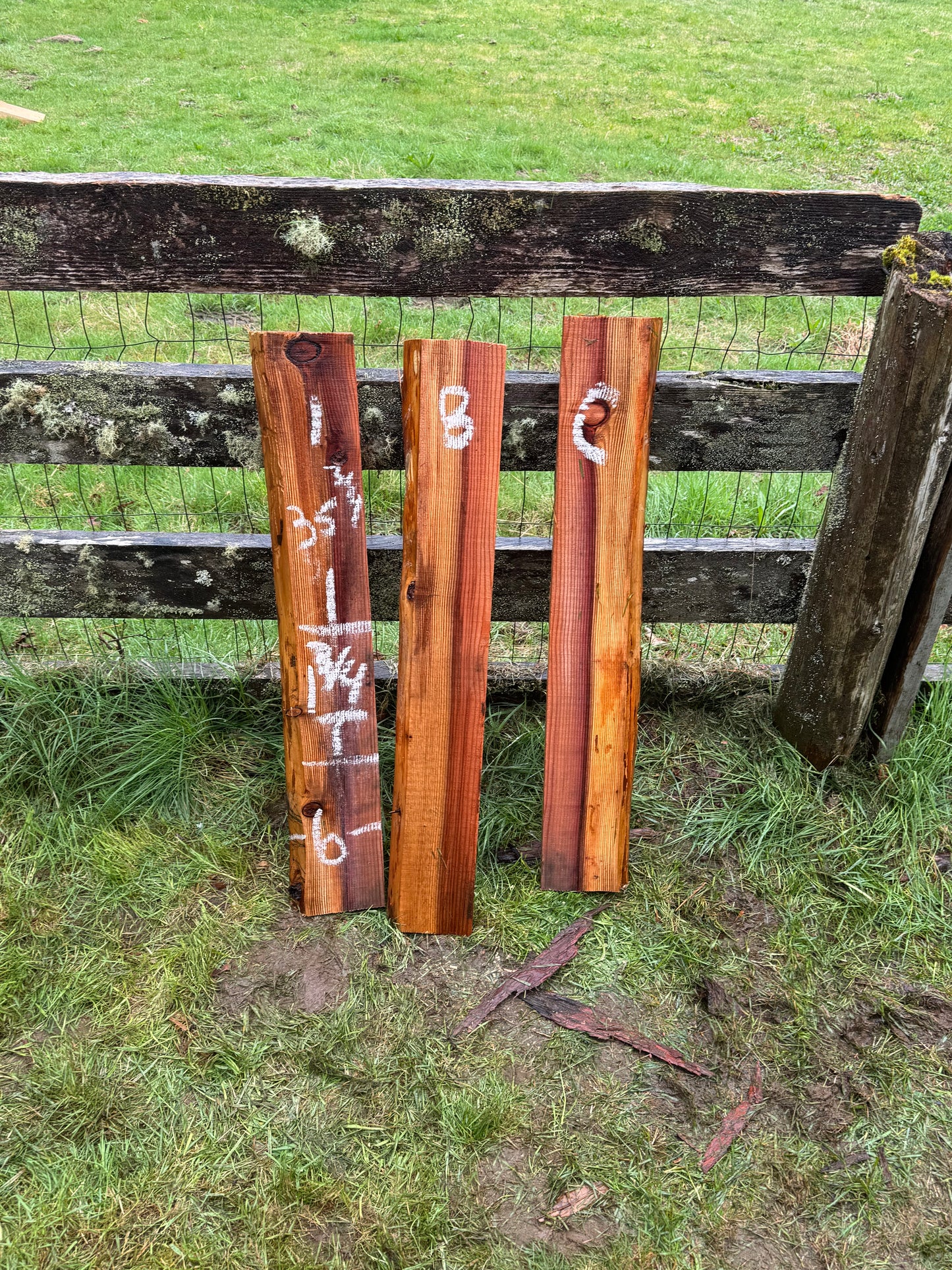 Giant Sequoia Redwood - 35" x 6" x 1.75" - Live Edge - Shelf Boards