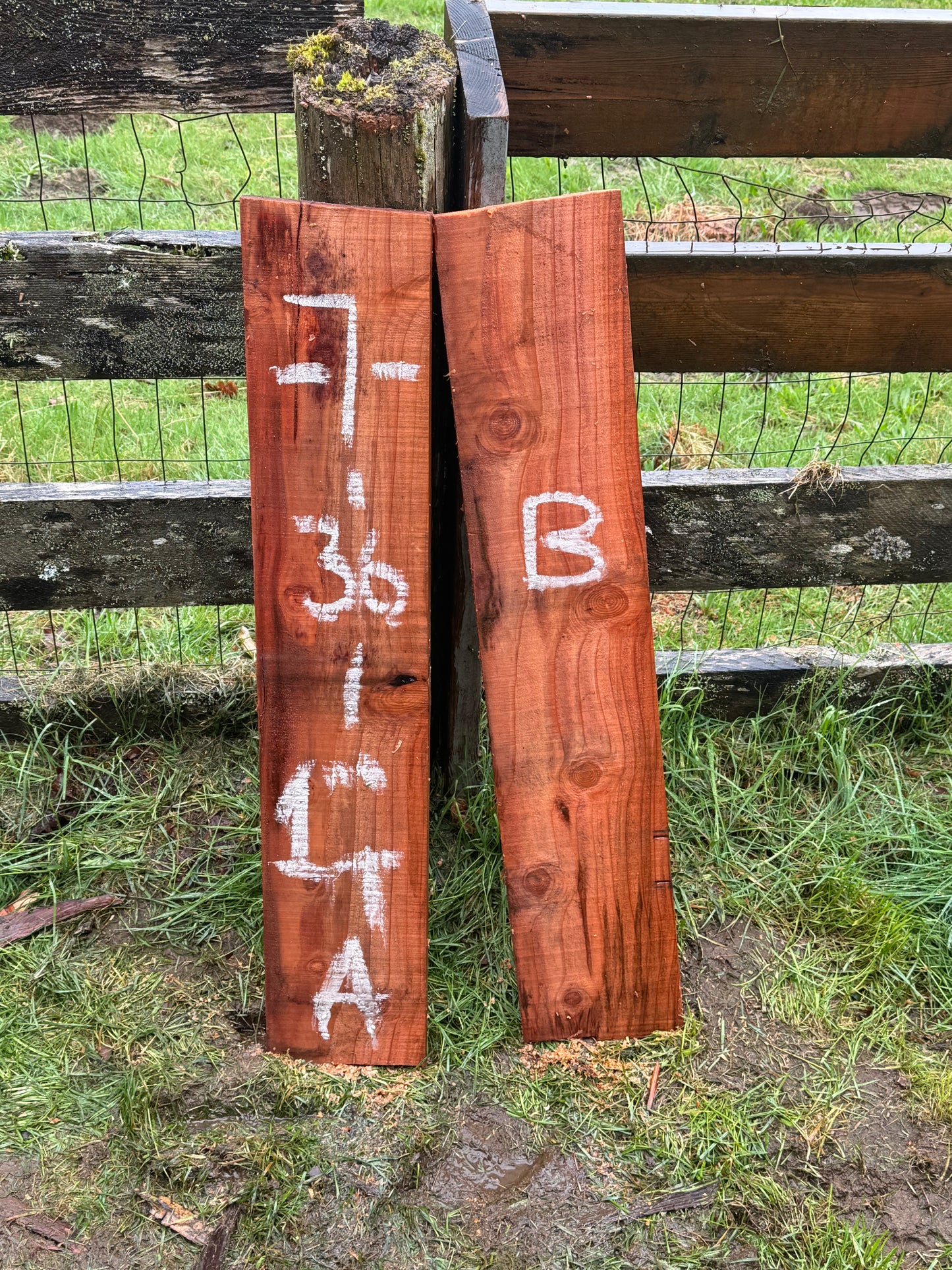 Giant Sequoia Redwood - 36" x 7" x 1"