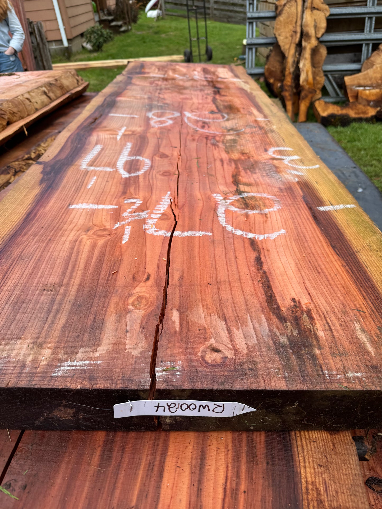 Giant Sequoia Redwood Slab - 97" x 28" x 3" - Live Edges