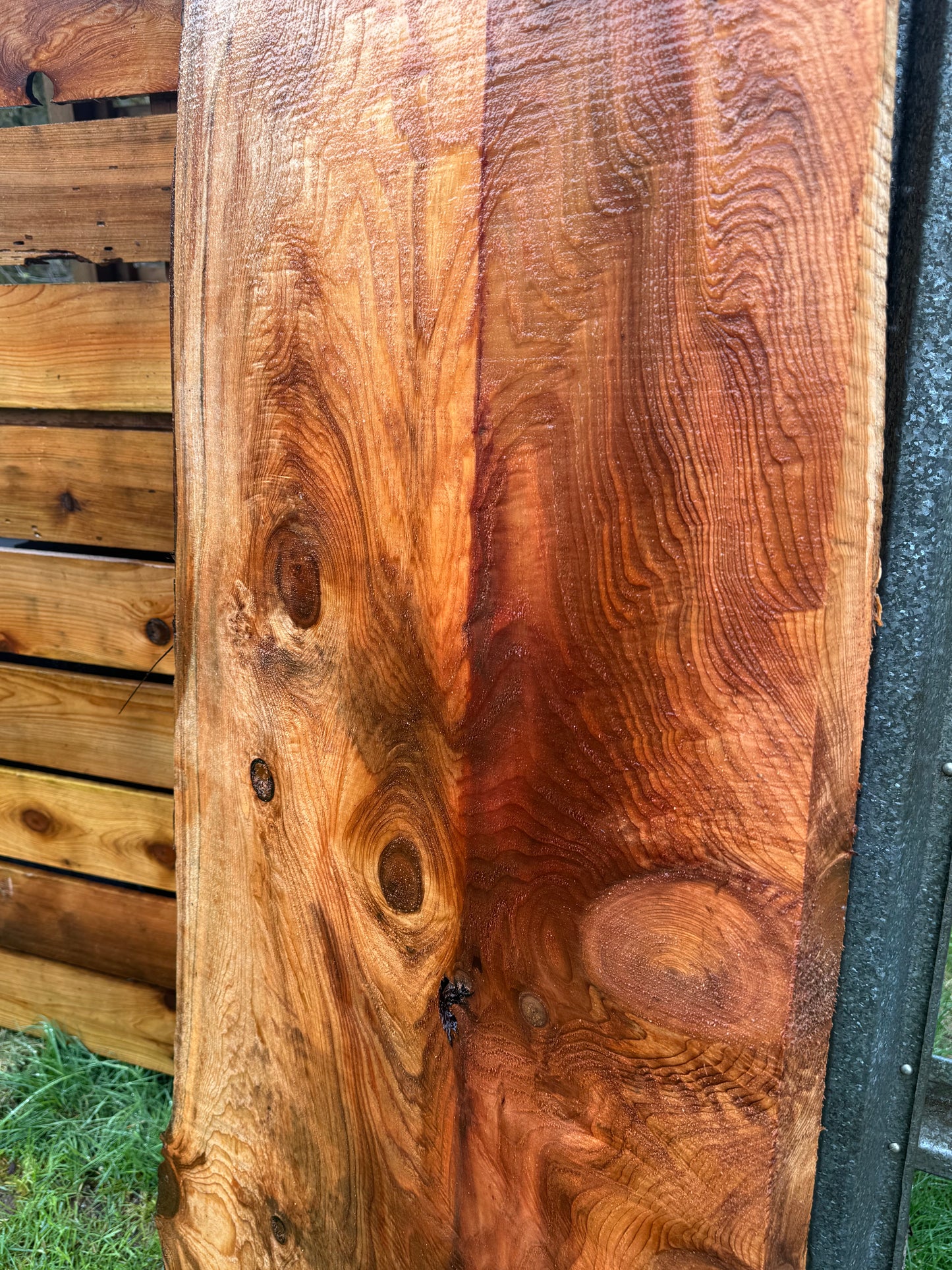 Western Red Cedar Slab- 134" x 23" x 2" - Live Edges