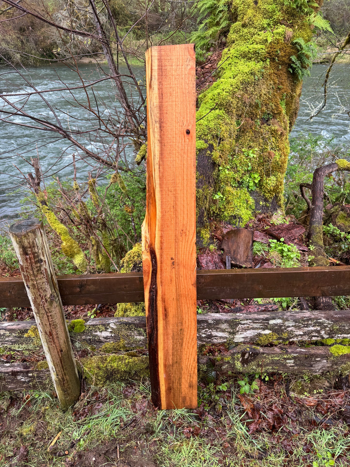 Western Red Cedar- 62" x 9" x 2"
