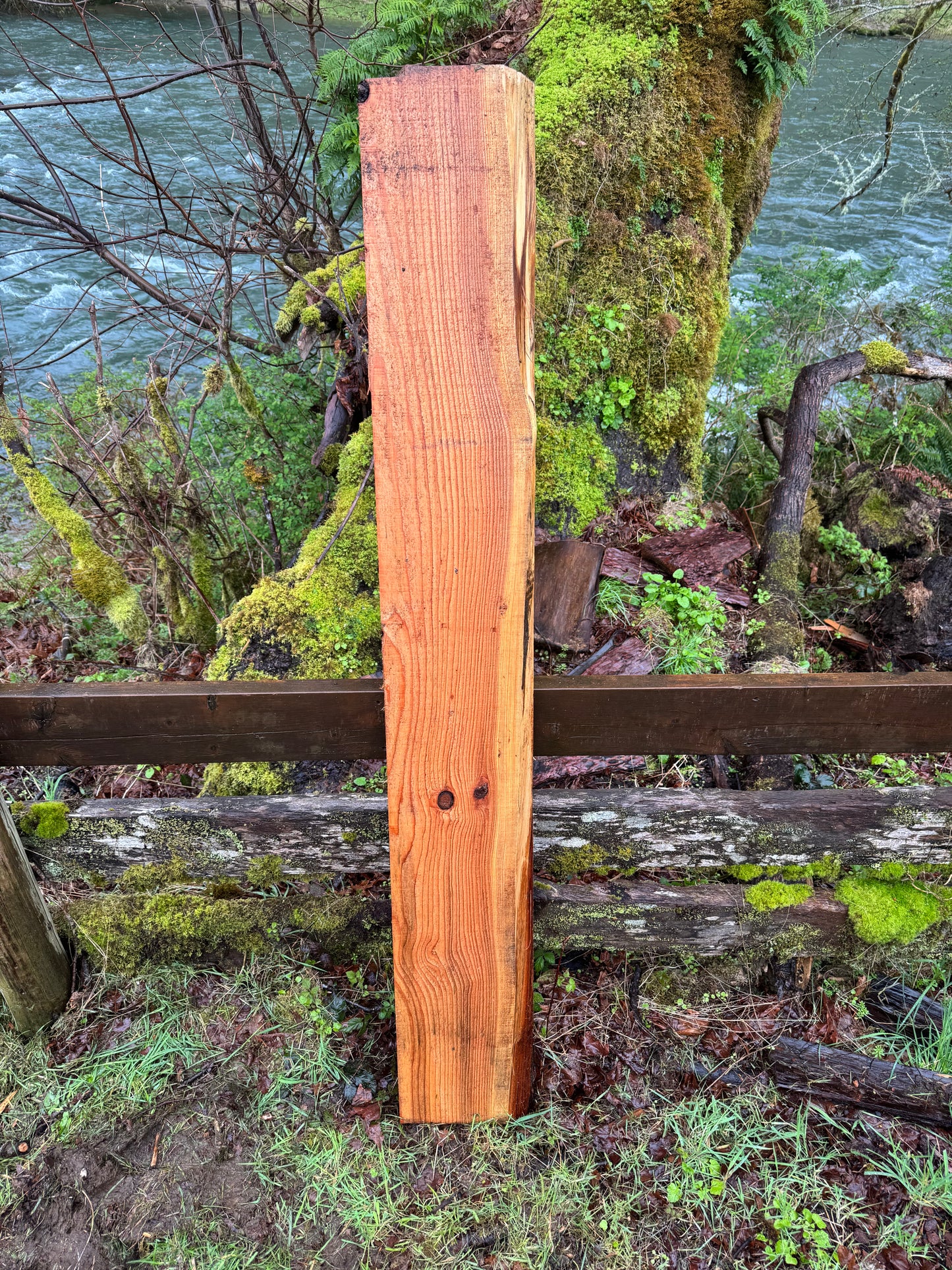 Western Red Cedar- 63" x 9" x 2"
