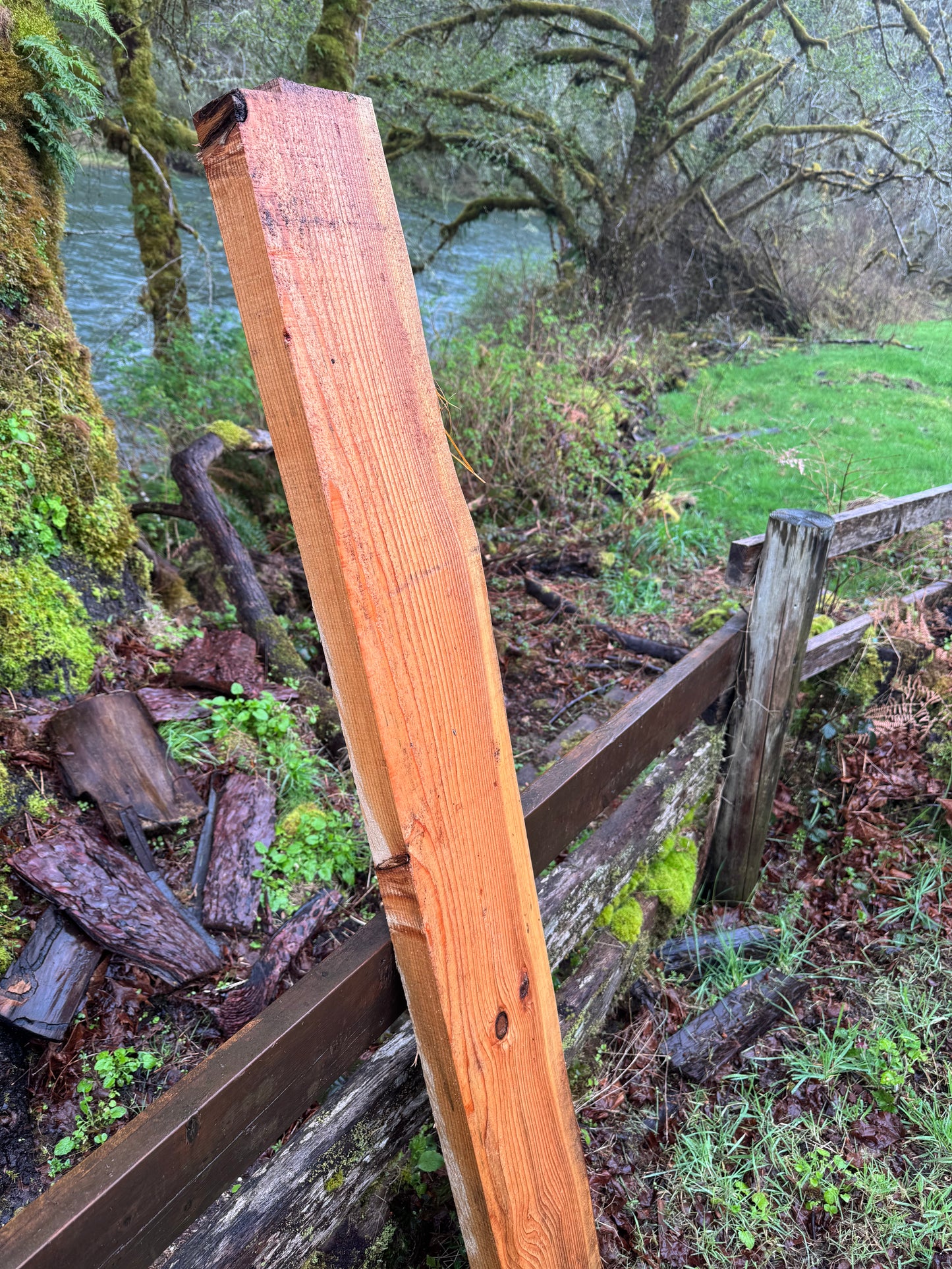 Western Red Cedar- 63" x 9" x 2"