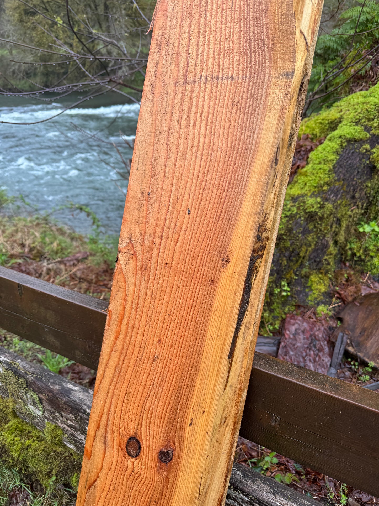 Western Red Cedar- 63" x 9" x 2"