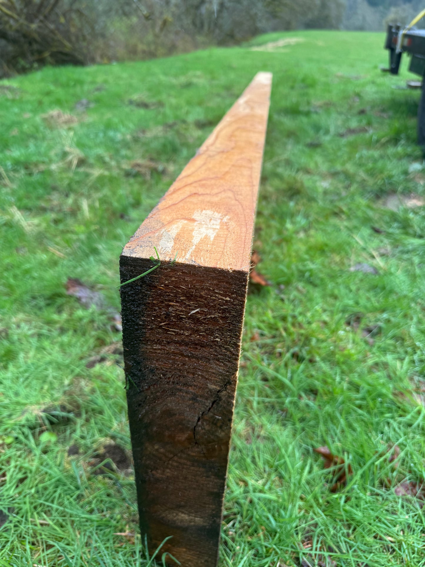 Western Red Cedar - 128" x 16" x 3.25"